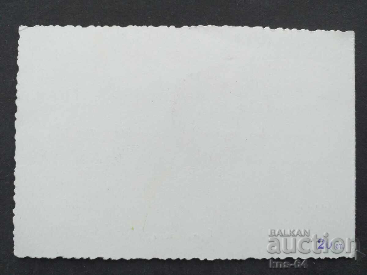 Auction  Social Greeting