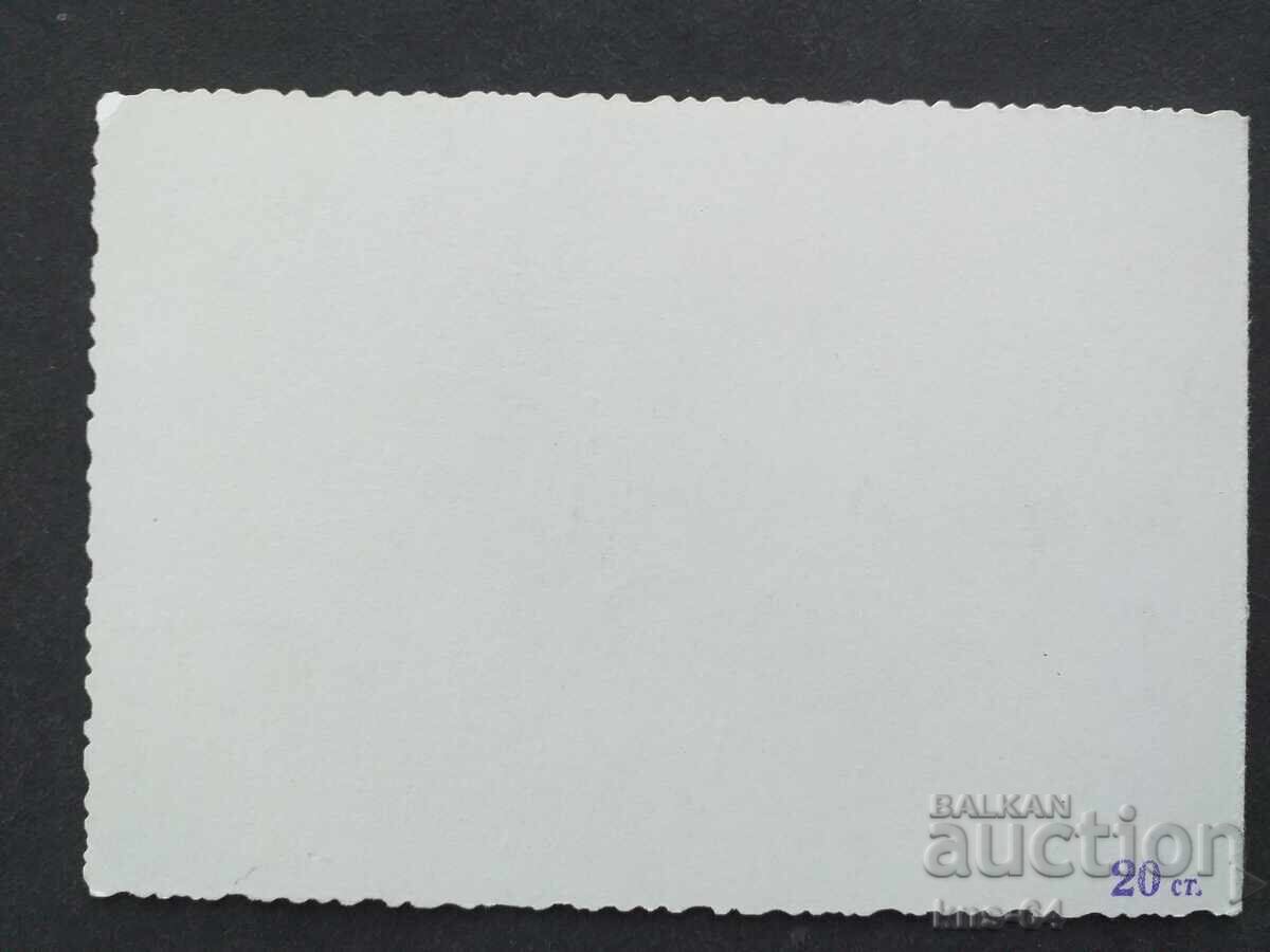 Auction  Social Greeting