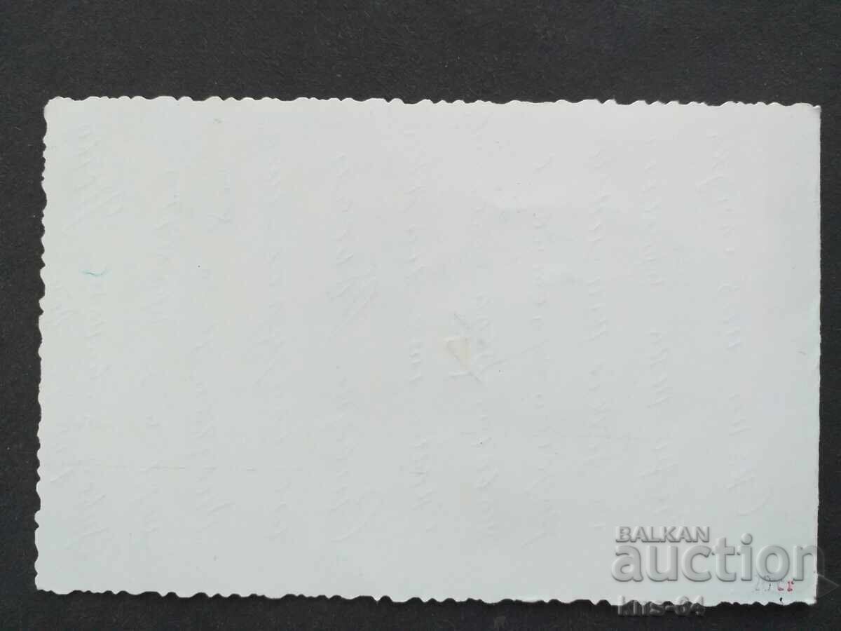 Auction  Social Greeting