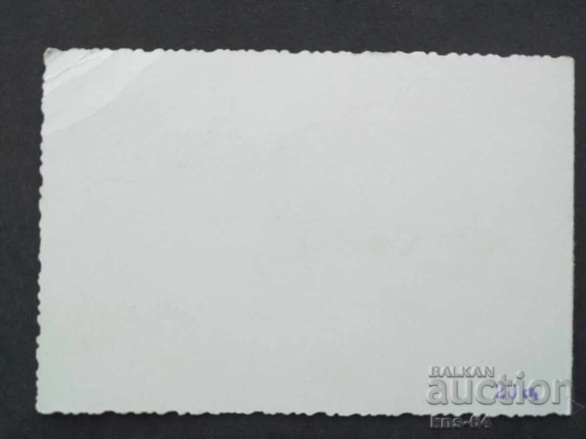 Аукцион Соц Поздравителна