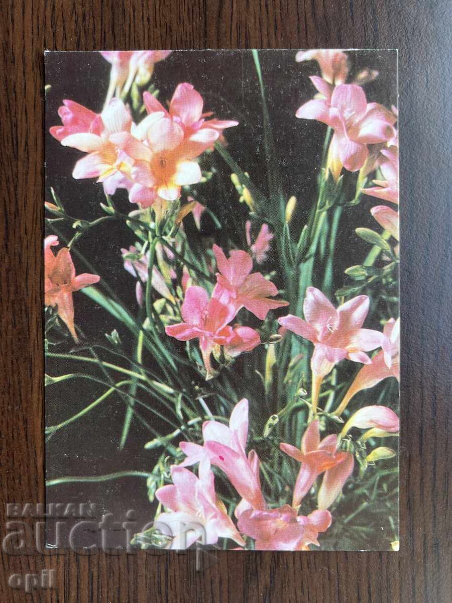 Old Greeting Card - Happy March 8th Old Greeting Card - Happy March 8th