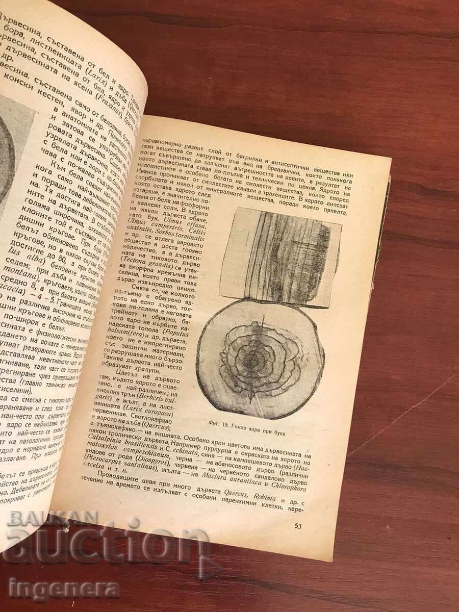 Livrarea CARTEA-B.STEFANOV, AT.GANCHEV-DENDROLOGIE 1953 CIRCULARE 800 BUC