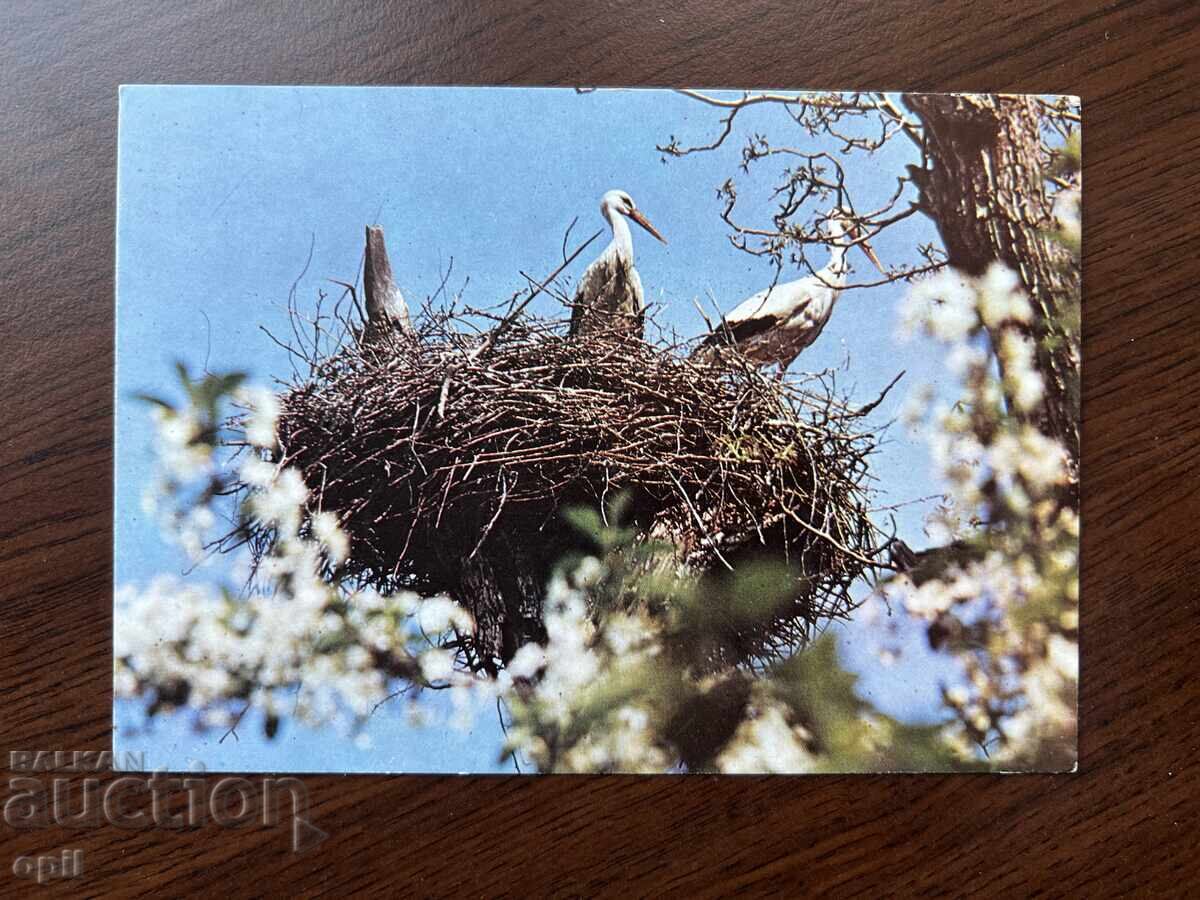 Old Greeting Card - Happy Spring Old Greeting Card - Happy Spring