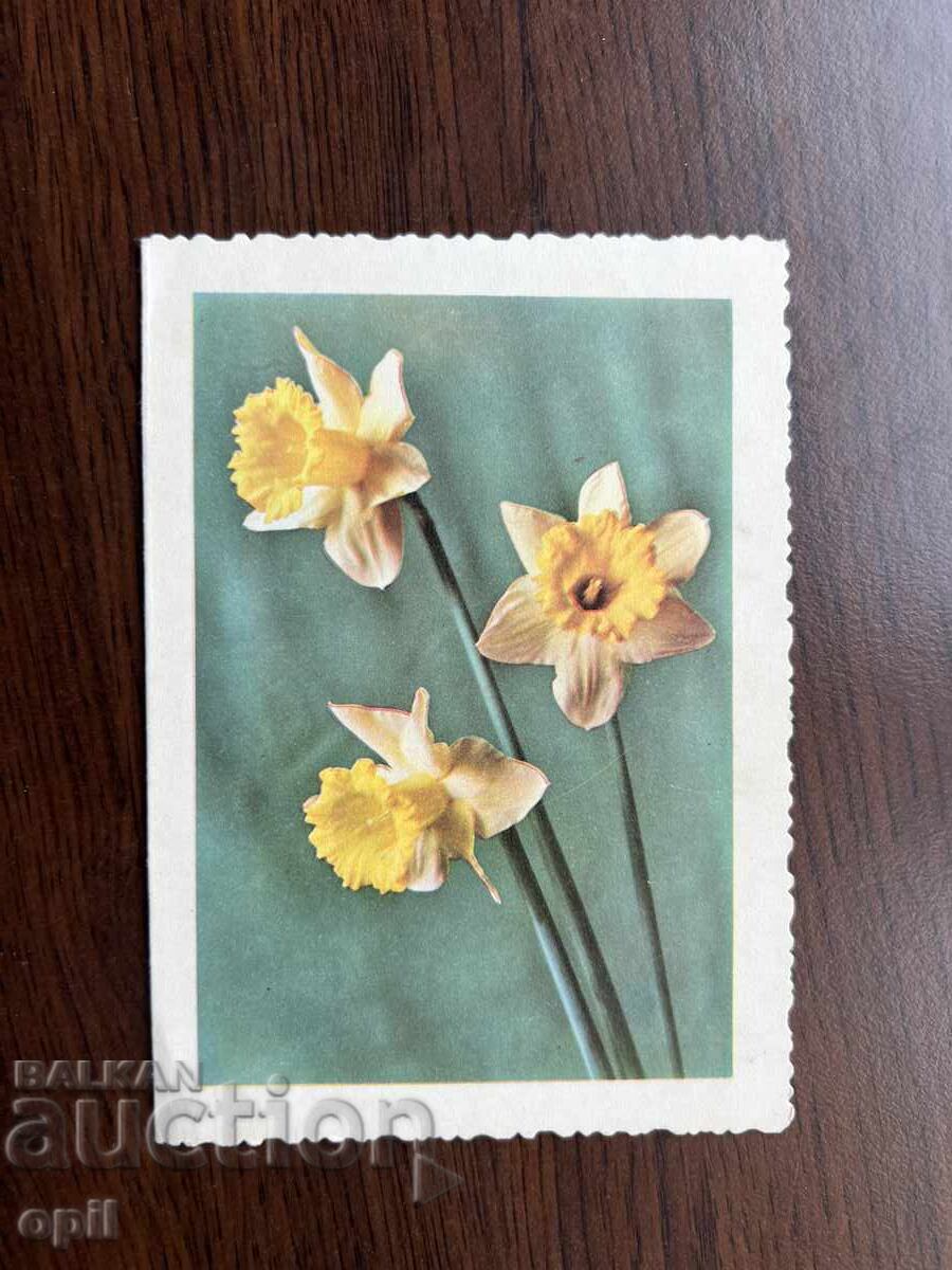 Old Greeting Card-Flowers Old Greeting Card-Flowers