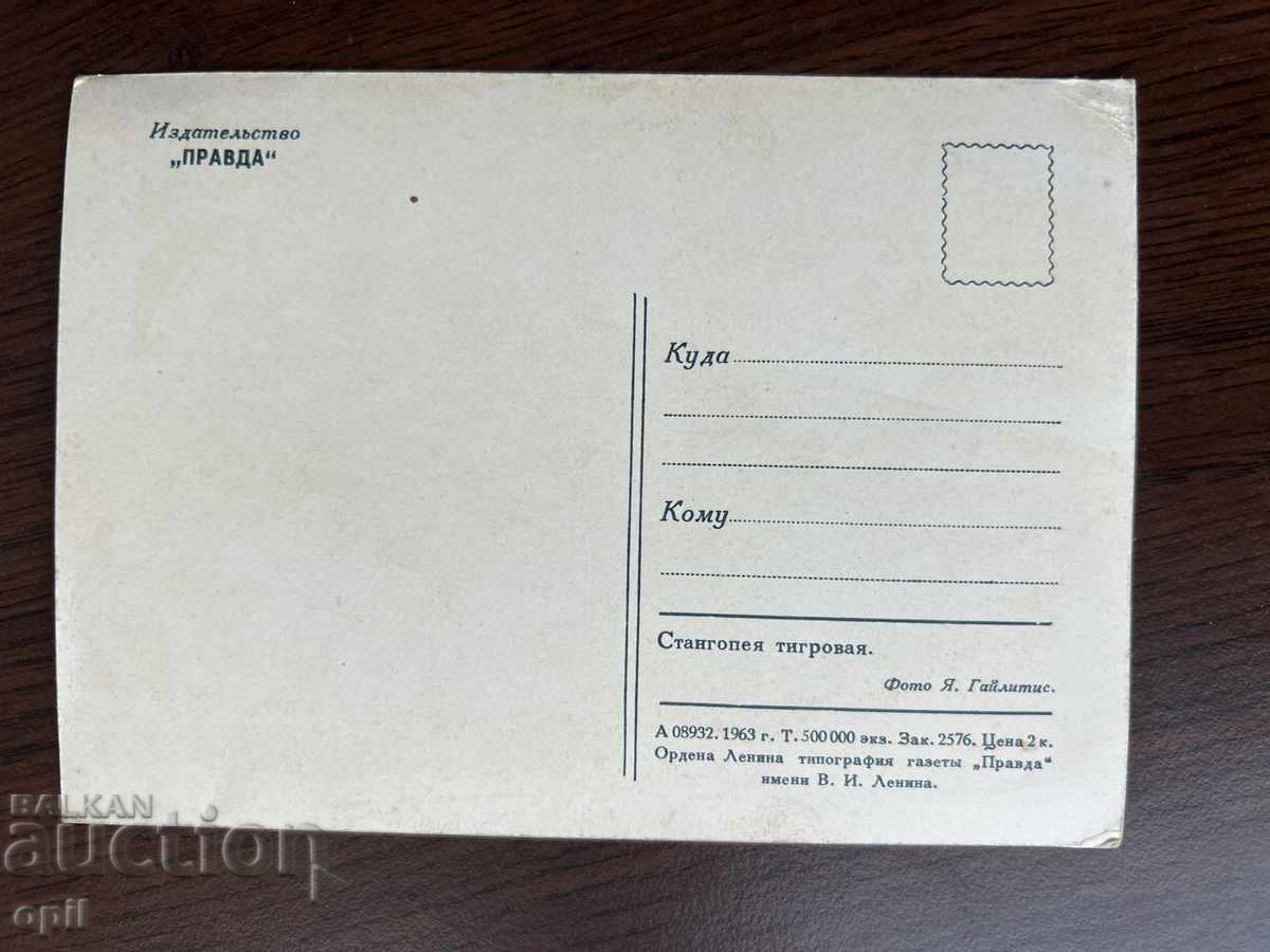 Old Greeting Card-Flowers with price 0.40 BGN | € 0.20