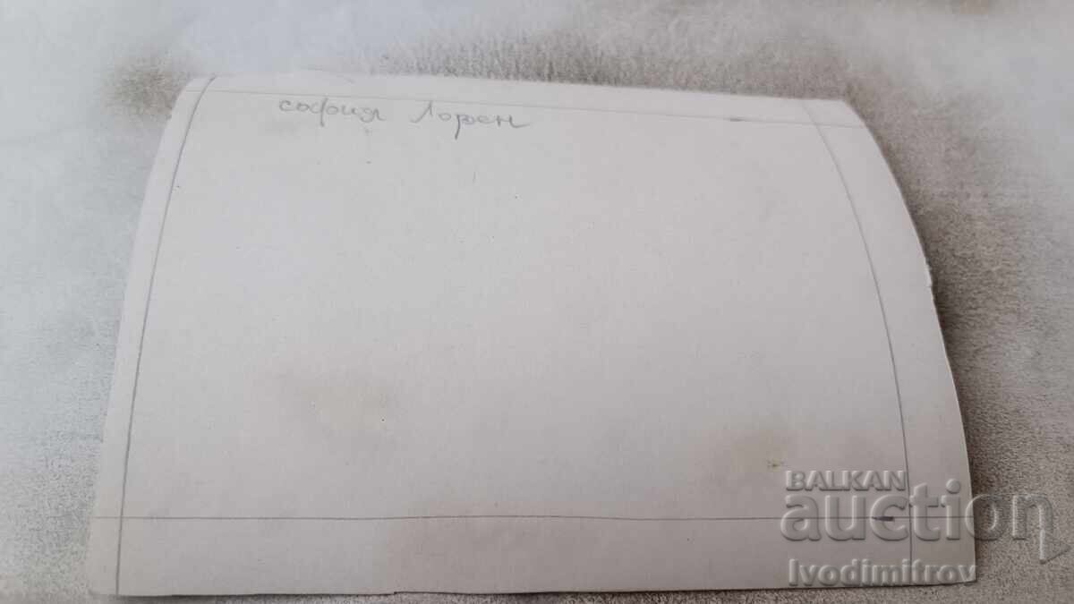 Пощенска картичка София Лорен с цена 0.85 лв. | € 0.43 Пощенска картичка София Лорен с цена 0.85 лв. | € 0.43