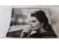 Postcard Sofia Loren