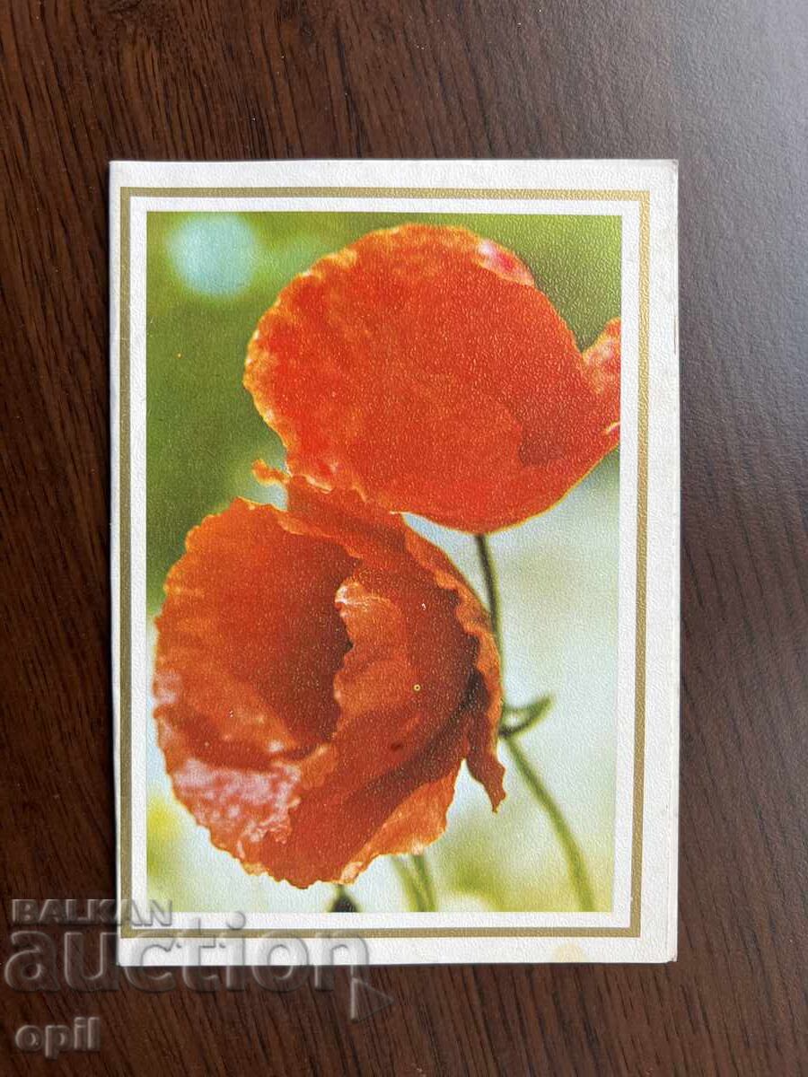 Παλιά Κάρτα-Συγχαρητήρια-Καλή 8η Μαρτίου Παλιά Κάρτα-Συγχαρητήρια-Καλή 8η Μαρτίου