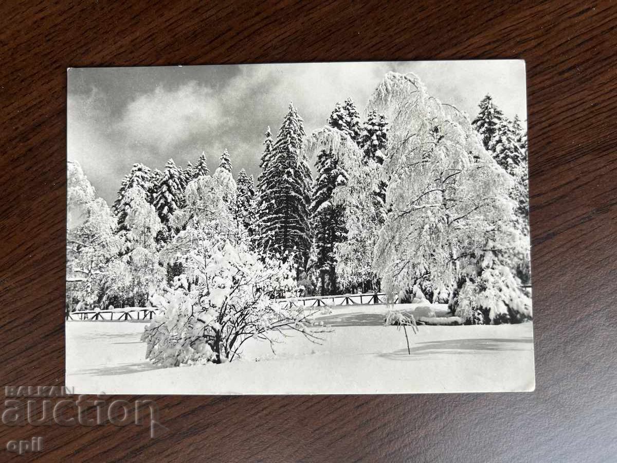 Old Greeting Card - Happy New Year