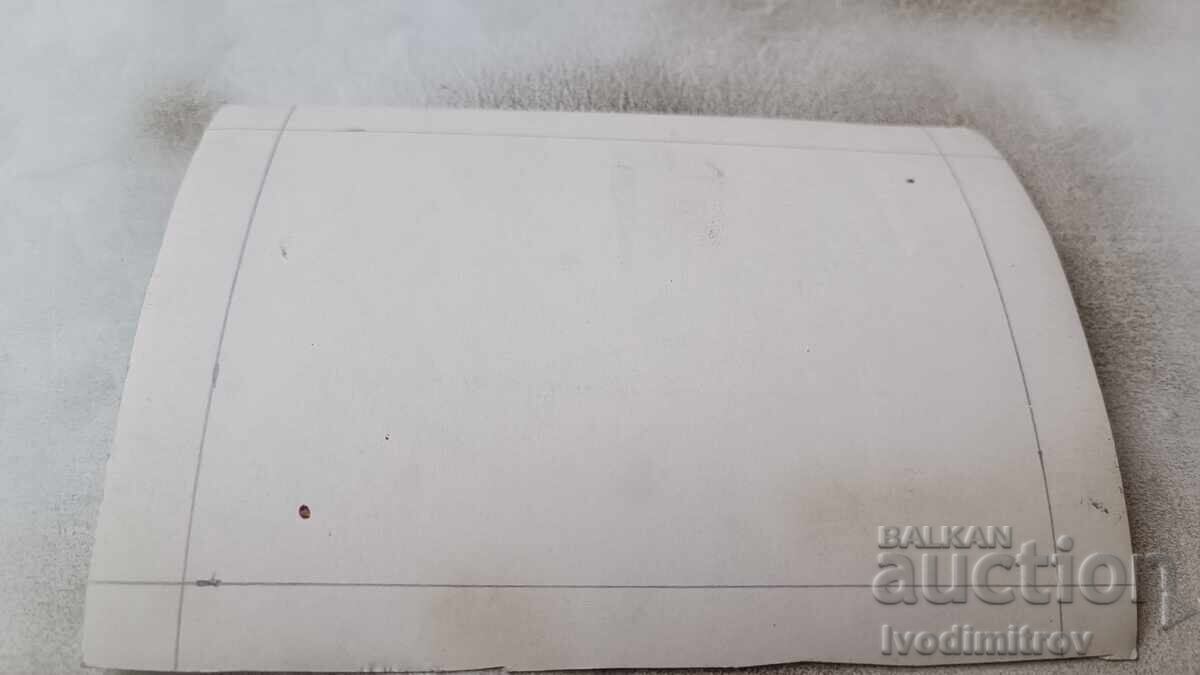 Heather Sears Postcard with price 0.85 BGN | € 0.43 Heather Sears Postcard with price 0.85 BGN | € 0.43