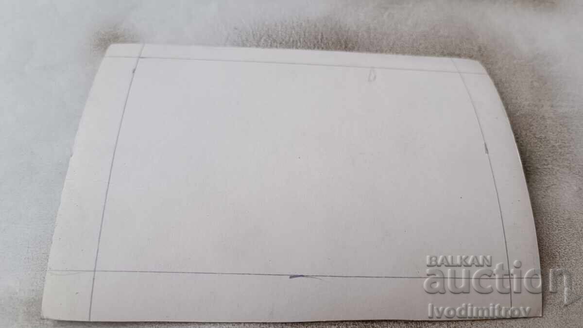 Postcard Violeta Doneva with price 0.85 BGN | € 0.43 Postcard Violeta Doneva with price 0.85 BGN | € 0.43