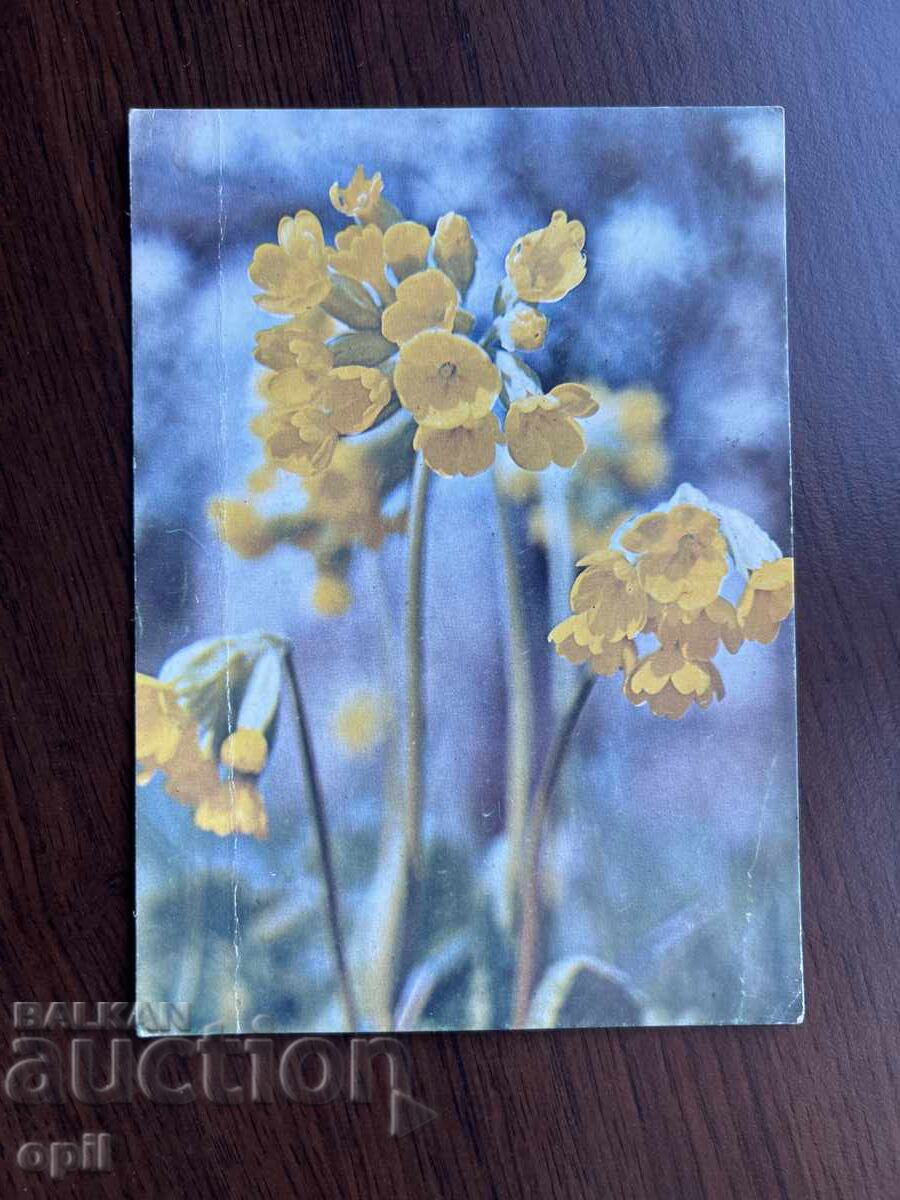 Παλιά ευχετήρια κάρτα