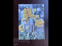 Παλιά ευχετήρια κάρτα