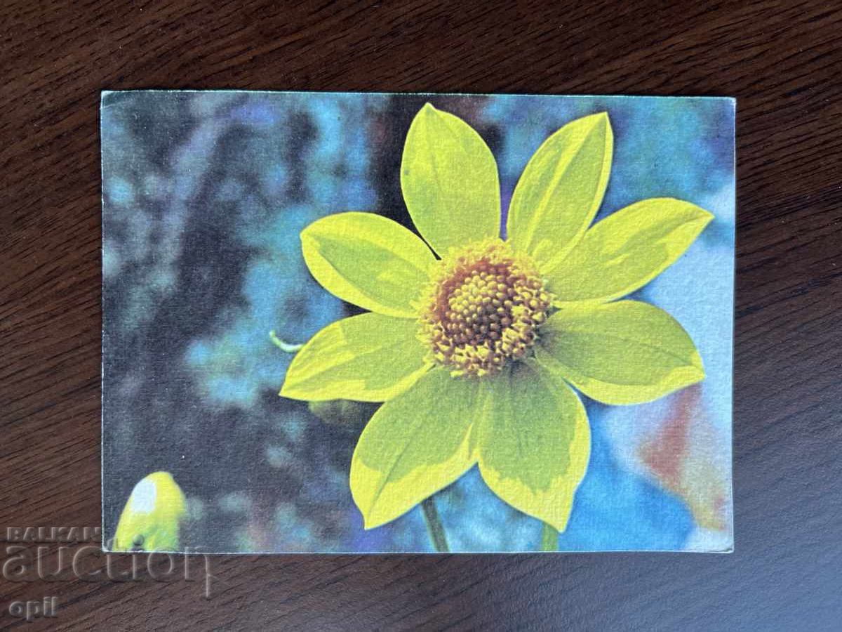 Παλιά ευχετήρια κάρτα Παλιά ευχετήρια κάρτα