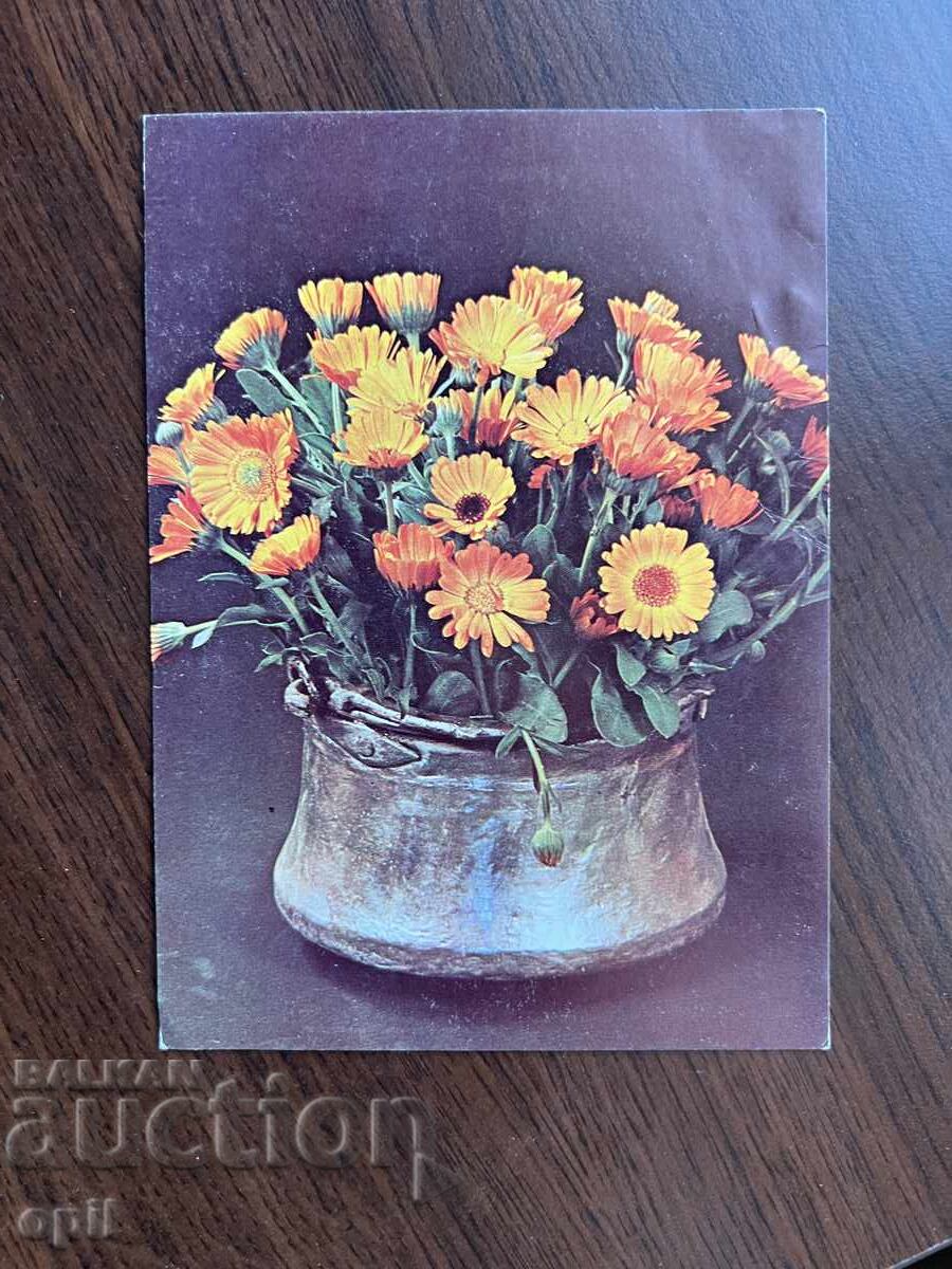 Стара Картичка-Поздравителна Стара Картичка-Поздравителна