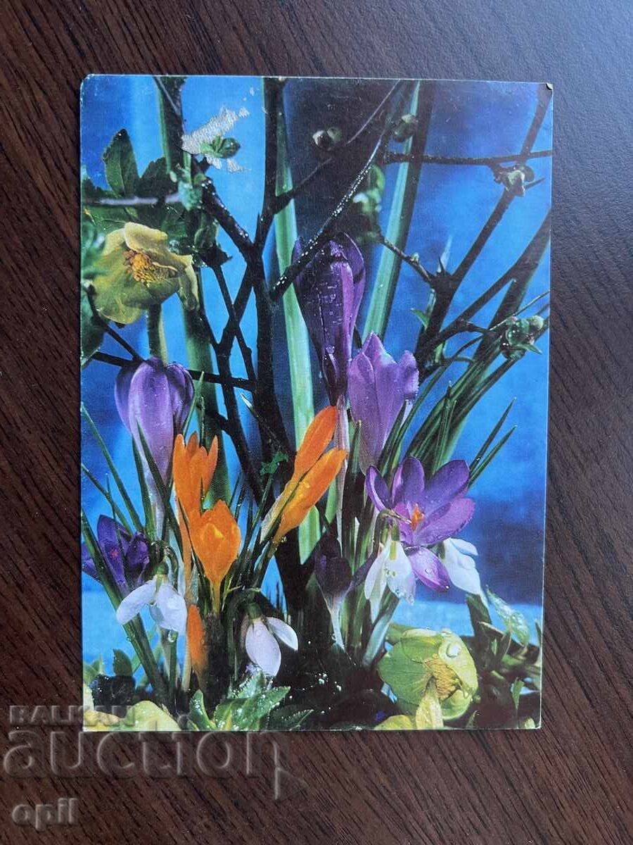 Παλιά ευχετήρια κάρτα Παλιά ευχετήρια κάρτα