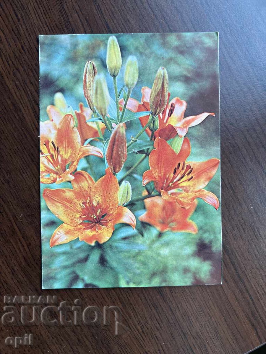 Стара Картичка-Поздравителна Стара Картичка-Поздравителна