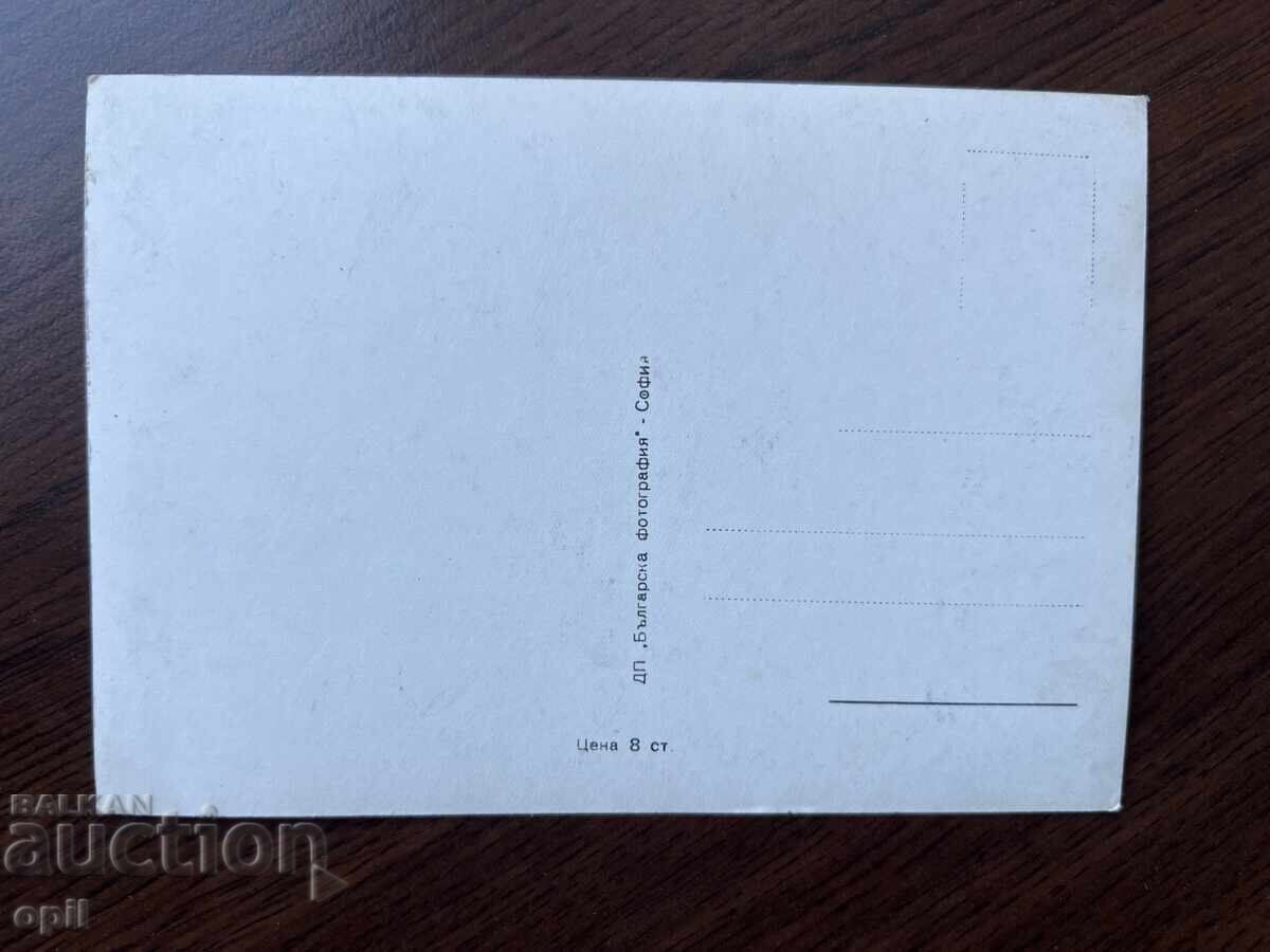 Παλιά Κάρτα-Συγχαρητήρια-Τζίνα Λολομπριτζίδα με τιμή 0.40 BGN | € 0.20 Παλιά Κάρτα-Συγχαρητήρια-Τζίνα Λολομπριτζίδα με τιμή 0.40 BGN | € 0.20