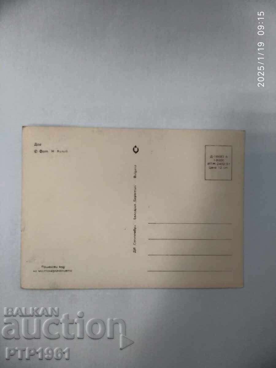 ένας σκύλος με τιμή € 0.50 | 0.98 BGN