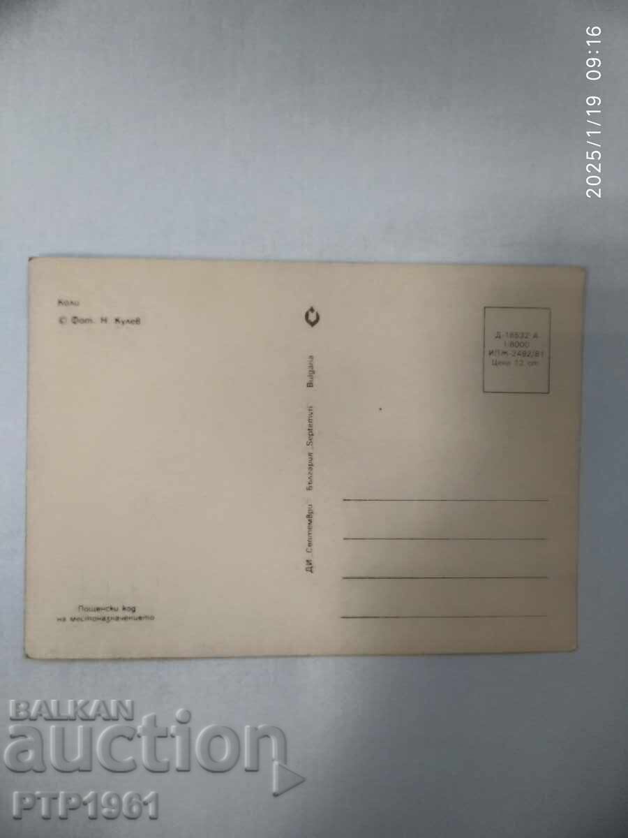 ένας σκύλος με τιμή € 0.50 | 0.98 BGN