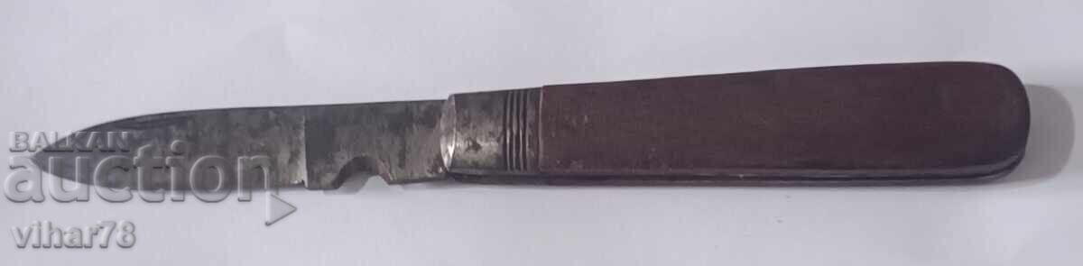 Livrarea PICIOŞUL VECHI DE BUZUUNAR-Solingen