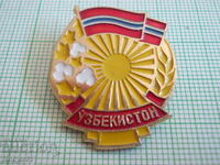 badges - countries Republic of Uzbekistan 3 pcs