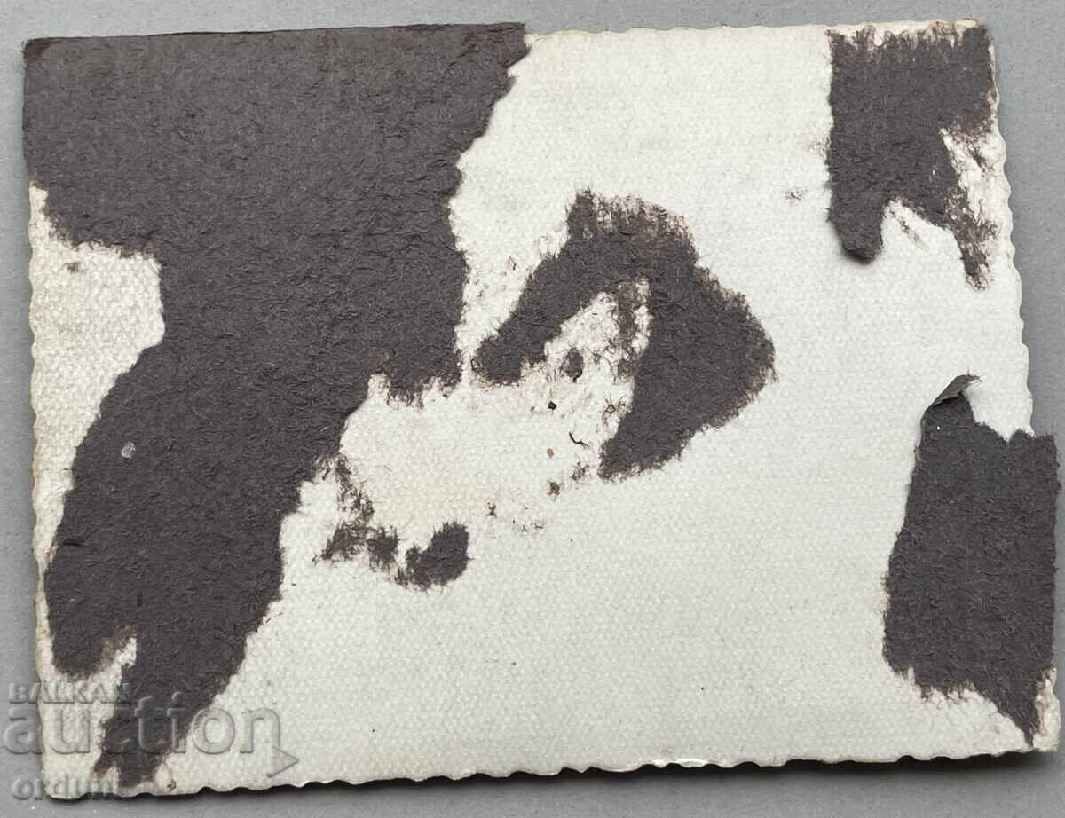 4800 Bulgarian military pilots Air Force Dolna Mitropolia from the 1950s. with price 15.00 BGN | € 7.67 4800 Bulgarian military pilots Air Force Dolna Mitropolia from the 1950s. with price 15.00 BGN | € 7.67