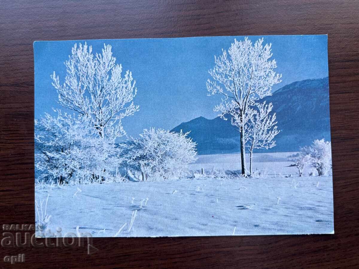 Стара Картичка-Поздравителна Стара Картичка-Поздравителна