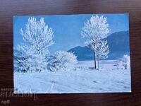 Стара Картичка-Поздравителна