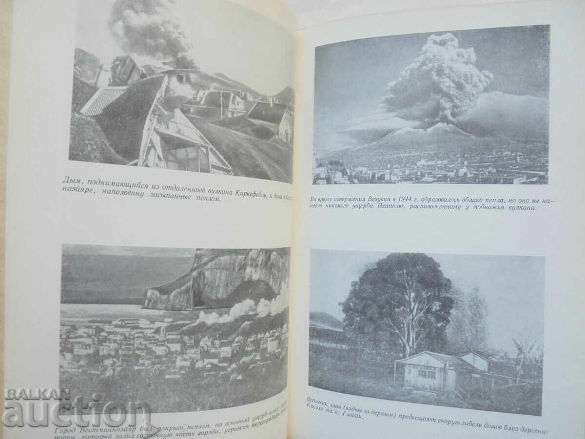 Auction Catastrophe: The Wild Earth - Tony Waltham 1982 Auction Catastrophe: The Wild Earth - Tony Waltham 1982