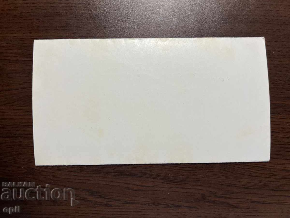 Auction  Wedding Invitation -1979-Sofia