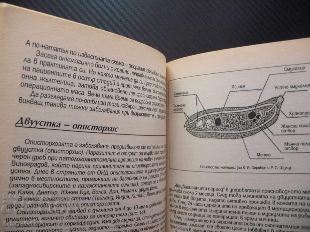 Licitație Secretul diagnosticelor incorecte boli de inima cancer