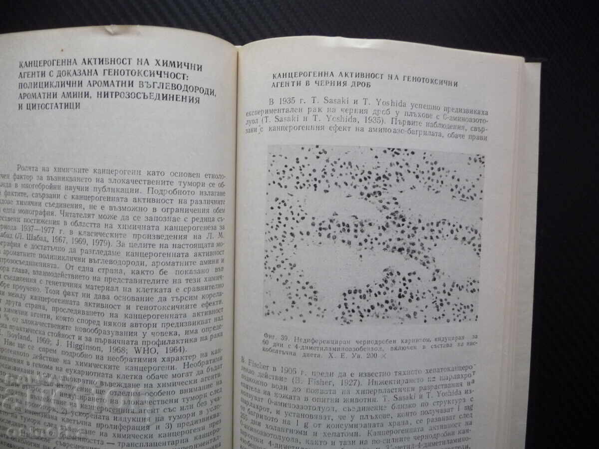 DNA Damage and Cancer Dimitar Hadzhiolov Medical Literature with price 10.00 BGN | € 5.11 DNA Damage and Cancer Dimitar Hadzhiolov Medical Literature with price 10.00 BGN | € 5.11