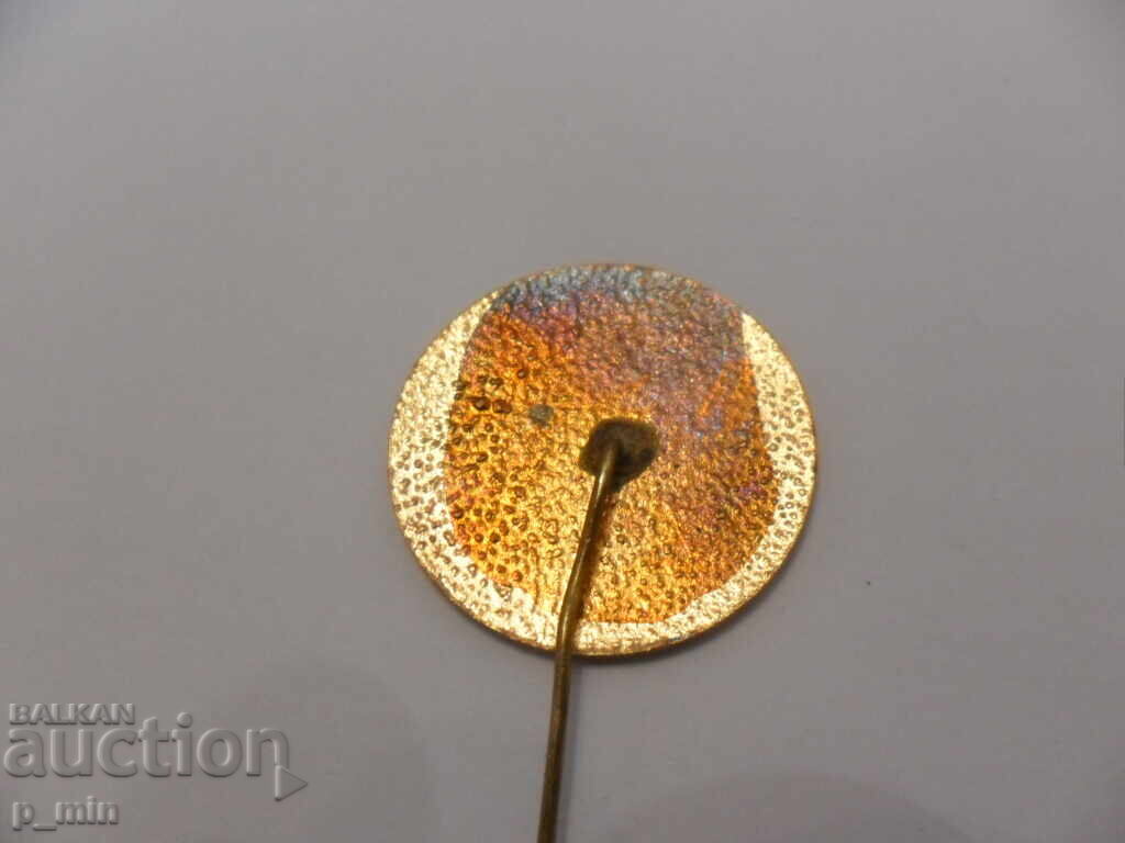 insigna cu preț 6.00 BGN | € 3.07