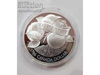 Silver 1 Dollar Apples Macintosh 1996 Canada