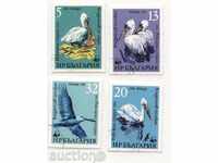 WWF Pelicans 1984 Bulgaria Stamps