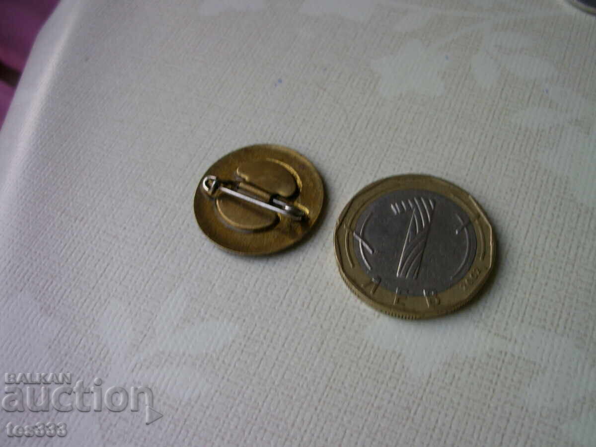 Значка Окръжен съвет за култура София - 5