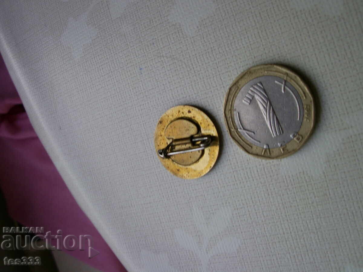 Значка Окръжен съвет за култура София - 6