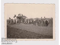 1940 Lower Metropolitanate Pleven threshing photo /56510