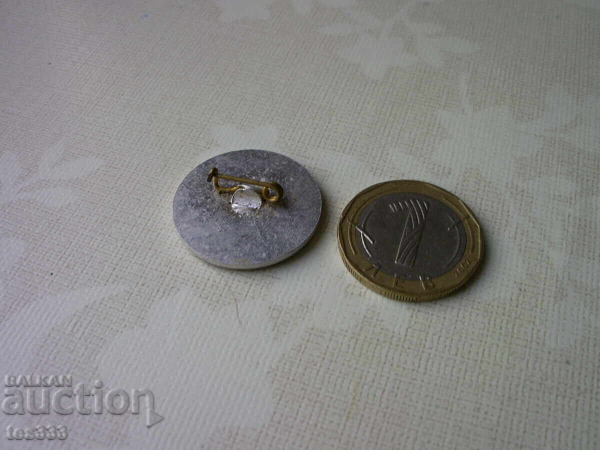 Insigna Fondul Național pentru Pace și Solidaritate - 6 Insigna Fondul Național pentru Pace și Solidaritate - 6