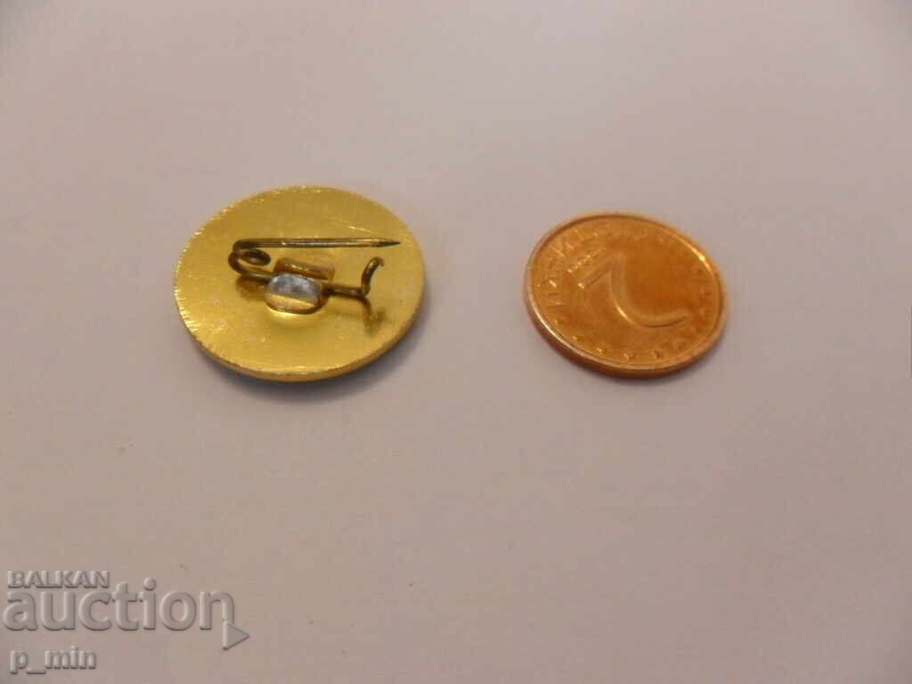 Auction lapel pin - Aeroflot Balkan Auction lapel pin - Aeroflot Balkan