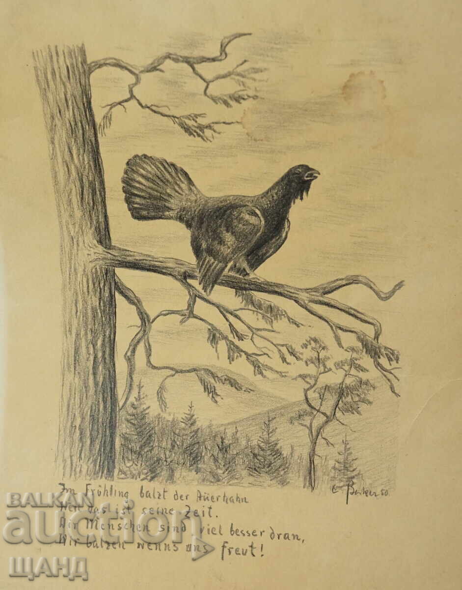 1950 Author's Drawing mountain landscape bird signed with price 10.00 BGN | € 5.11 1950 Author's Drawing mountain landscape bird signed with price 10.00 BGN | € 5.11
