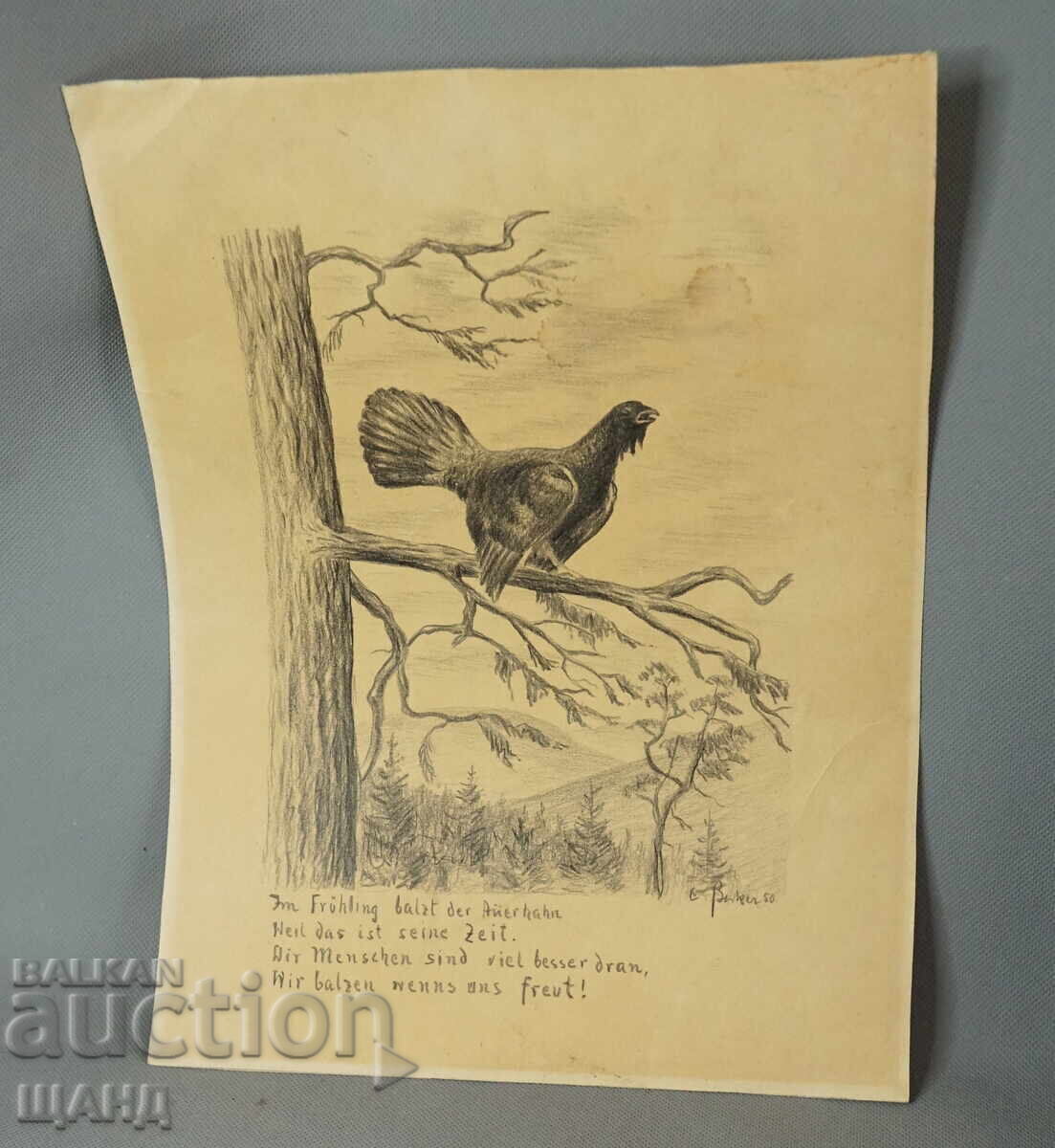 1950 Author's Drawing mountain landscape bird signed 1950 Author's Drawing mountain landscape bird signed