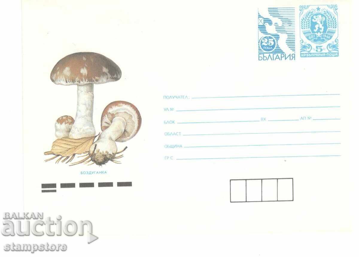 PP with additional tax sign Mushrooms Bozduganka PP with additional tax sign Mushrooms Bozduganka