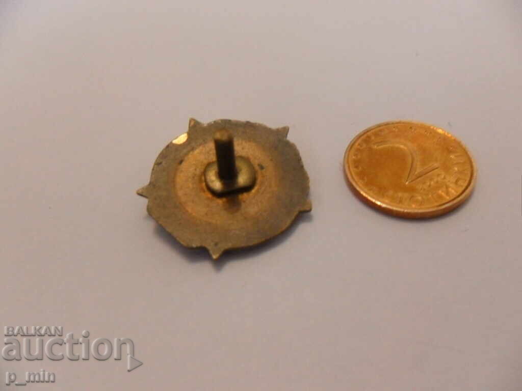 Auction badge - SBPF Auction badge - SBPF