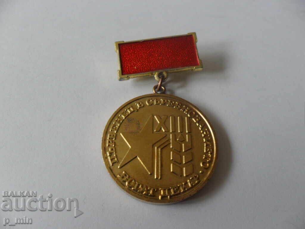 breastplate - Winner in the Rich Dekar competition breastplate - Winner in the Rich Dekar competition