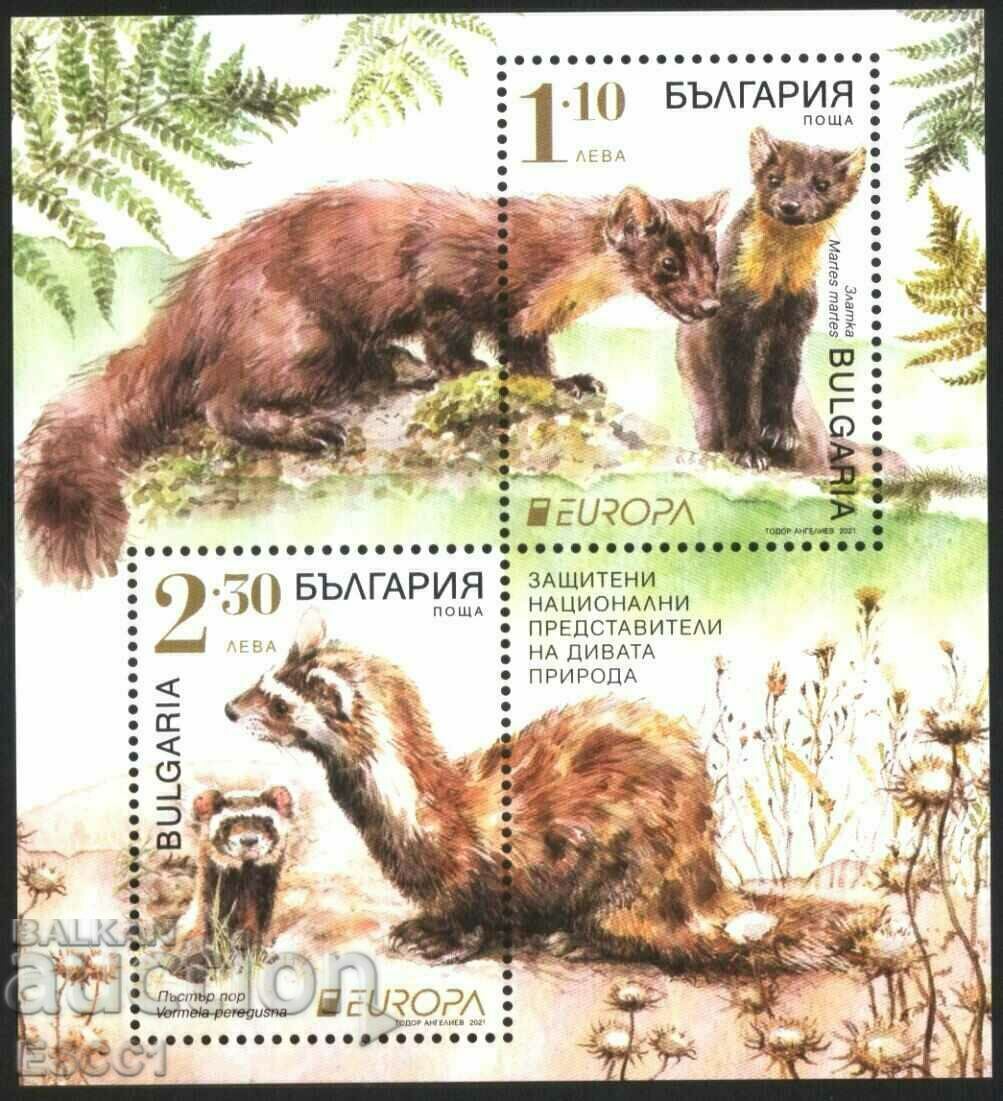 Clean block Europe SEPT Fauna 2021 from Bulgaria /c Clean block Europe SEPT Fauna 2021 from Bulgaria /c