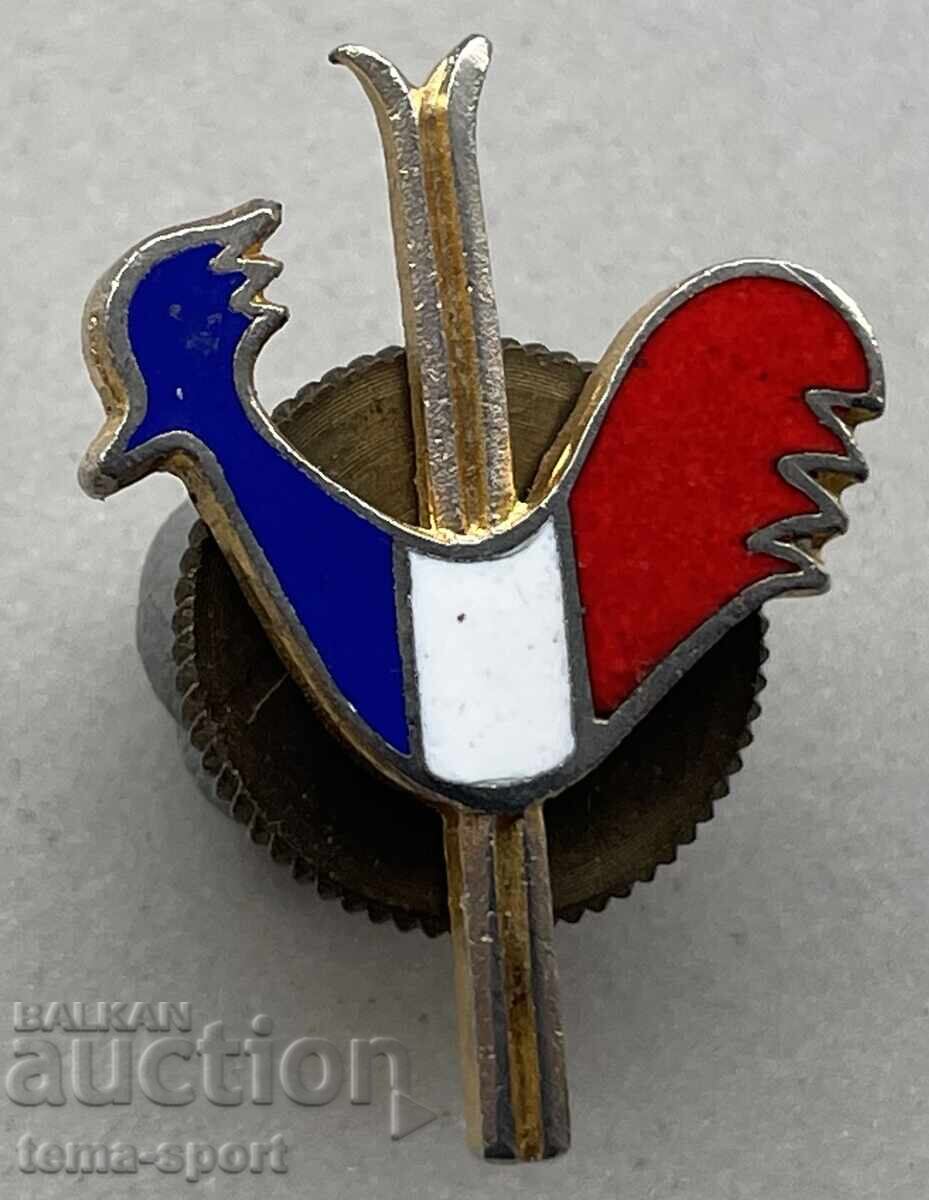 1269 France badge French Ski Federation enamel 1269 France badge French Ski Federation enamel