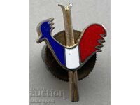 1269 France badge French Ski Federation enamel