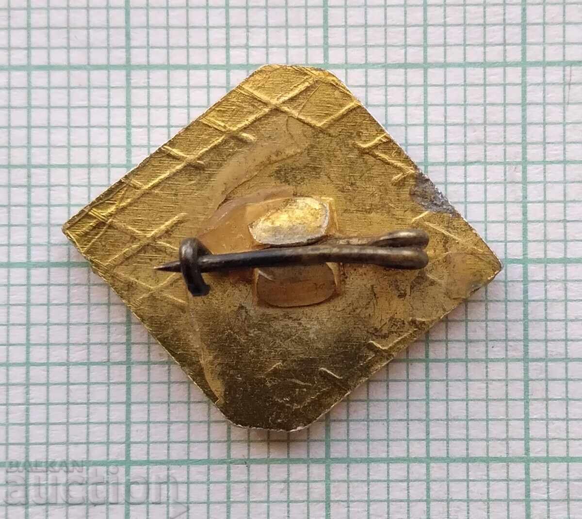 Аукцион 17846 Значка